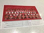 Sydney swans team Photo, AFL FOOTBALL,CHEAPEST,GREAT FEEDBACKS