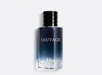 在飛比找Yahoo!奇摩拍賣優惠-【Dior迪奧】SAUVAGE曠野之心男性淡香水 100ml