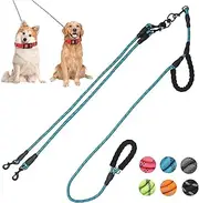 Exceptional 360 Anti-Tangle & No Pull Dual Dog Leash - Double Handle & Reflective for Small & Medium Dogs (Blue, 2 Way)