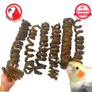 Bonka Bird Toys 2927 Pk6 Wine Palm Springs Foot Talon Craft Part Bird Toys Pet