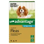 Advantage Spot-On Flea Treatment 4-10kg Dog - 6pk