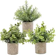 Labymos 3pcs Potted Artificial Fake Green Grass Leaves Artificial Simulation s Sets for Home Kitchen Garden Office Wedding Party Room Decor Gift