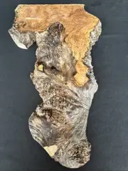 Spalted Maple Burl, Live Edge, 24” Long, 6” To 14” Wide, 1 13/16” Thick, Dry
