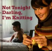 Knitting Inspiration Information Book Funky Fun with Stories Shopping Advice