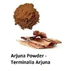 Organic Herbal Arjuna Tree Bark Powder- -Terminalia Arjuna Support Healthy Heart