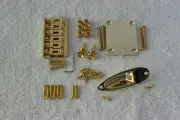 Allparts Hardtail Gold Stratocaster Body Hardware Set Fender Strat SB-0100-002