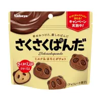 在飛比找蝦皮購物優惠-Kabaya 熊貓巧克力餅乾 47g