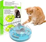 GDSanlian-Interactive Cat Toy Puzzle Box - Cat Puzzle Feeder - Cat Slow Feeding Treatment Dispenser - Cat Puzzle Box - Puzzle Maze Toy - Indoor Rich Cat Toys（Blue）