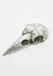 [Alchemy England] Silver Raven Skull Hand Mirror