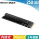 WD 威騰 黑標 SN750 250GB NVMe PCIe SSD固態硬碟