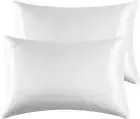 2 Pack Satin Pillowcases Hair and Skin, Super Soft Silky Pillow Cases with Enve