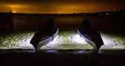 GREEN LED GTY ICE FISHING Shack lights underwater sonar led 100% waterproof
