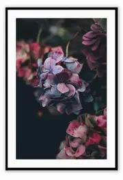Floral Mood