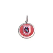 St George Illawarra Dragons NRL Pet Tag