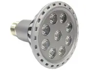 9W LED Energy Saving Floodlight & PAR 30 Light - Warm White By CS Power