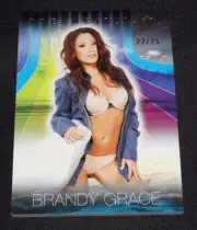 2017 Benchwarmer BRANDY GRACE Dreamgirls #16 Gold Foil Insert/25 Playboy FOKKERS