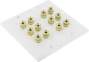 6 Speaker Cable Wall Plate Double Gang for 6 Surround Sound Speakers