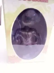 NEW CHIBI Essence Bobblehead GROUCHI #13 FREE SHIPPING