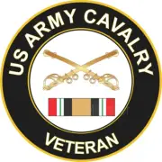 US Army Cavalry Iraq Combat Veteran Self-adhesive Vinyl Decal