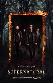 Supernatural poster (c) - 11 x 17 inches - Jared Padalecki, Jensen Ackles