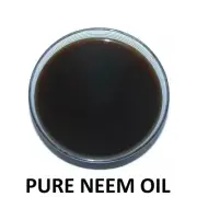 neem oil for plants, Natural insect repellent, Hair care, skin care