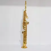 Professional Soprano B-flat Saxophone Performance of Middle-aged and Elderly Sax