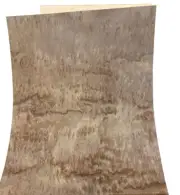 Eucalyptus Pommele wood veneer sheet 11" x 13" on paper backer 1/40" thickness