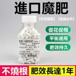 🚛【免運】日本進口魔肥長效緩釋肥多肉蘭花月季大粒小顆粒催花壯苗專用肥料 魔肥 長效 通用