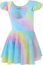 DIPUG Girls Ballet Leotards Toddler Shiny Dance Leotard Dresses with Ruffle Sleeve