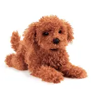 Toy Poodle Puppy Puppet (2024)