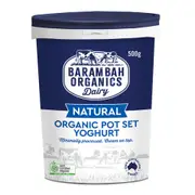 Organic Barambah Organics Natural Yoghurt 500g – Fresh, healthy organic delivery | Doorstep Organics