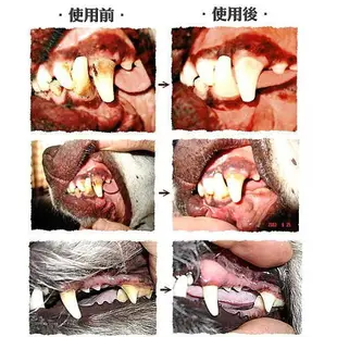美國Petzlife潔牙樂 牙齒保健系列 牙齒噴劑/牙齒凝膠 維護口腔清潔『WANG』