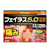 在飛比找比比昂日本好物商城優惠-久光製藥 HISAMITSU 溫感止痛 酸痛貼布 大尺寸 一