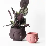 Face Flower Pot Cement Silicone Mold Concrete Clay Succulent Planter Mold