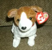 Ty Beanie Babies Kippy the Dog New