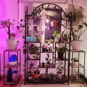 Fin Extra Large Tall Plant Stand Arch Metal Flower Shelf Hanging Pots Hooks Display