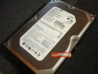 在飛比找Yahoo!奇摩拍賣優惠-Seagate 希捷 SV35.2系列 影音監控碟 IDE界