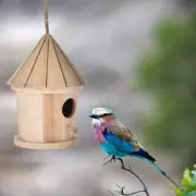 Wooden Bird Nest Hanging Bird House Wall Mounted Outdoor Birdhouse Wooden Box