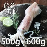 在飛比找蝦皮商城優惠-南海豐【船釣！活凍透抽】500-600g/尾 捕撈船上急凍透