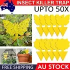 Up to 50pcs Dual Sided Strong Sticky Trap Insect Killer Fruit Fly Trap Gnat OZ