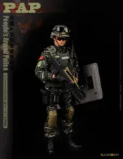 1/6 Action Figure Military Soldier Story Chinese Armed Police Doll 12inch 30cm