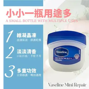 【Vaseline 凡士林】凡士林迷你修護版 5.5g 48入組(48個一盒 護唇膏 潤膚膏 護手霜 護手乳)