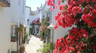 米家普布羅兩床聯排別墅2 BED TOWNHOUSE IN MIJAS PUEBLO