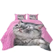 Funny Cats Angry Grey Tabby Kitty Cat Coverlet