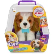 ~ Little Live Pets My Really Real Puppy - Patches the Beagle ~ 72 Variations ~