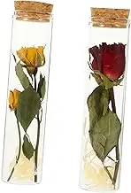 HOLIDYOYO 2pcs Mini Glass Wishing Bottles with Cork Dried Flower Ornaments Red Rose Yellow Rose for Home Decor Wedding Favors DIY Crafts and Unique