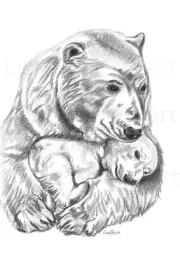 Polar bear mother and baby original pencil drawing