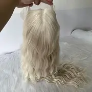 13X4x1 Platinum Blonde Highlight Lace Front Wig Water Wave Synthetic Lace Wigs Pre Plucked Long Wavy Glueless Lace Front Wigs For Women Middle Part Highlight Wigs