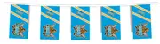 Gold Coast Titans NRL Bunting Hanging Flag Banner 5m long with 12 flags