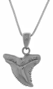 Jewelry Trends Sterling Silver Shark Tooth Pendant on Box Chain Necklace